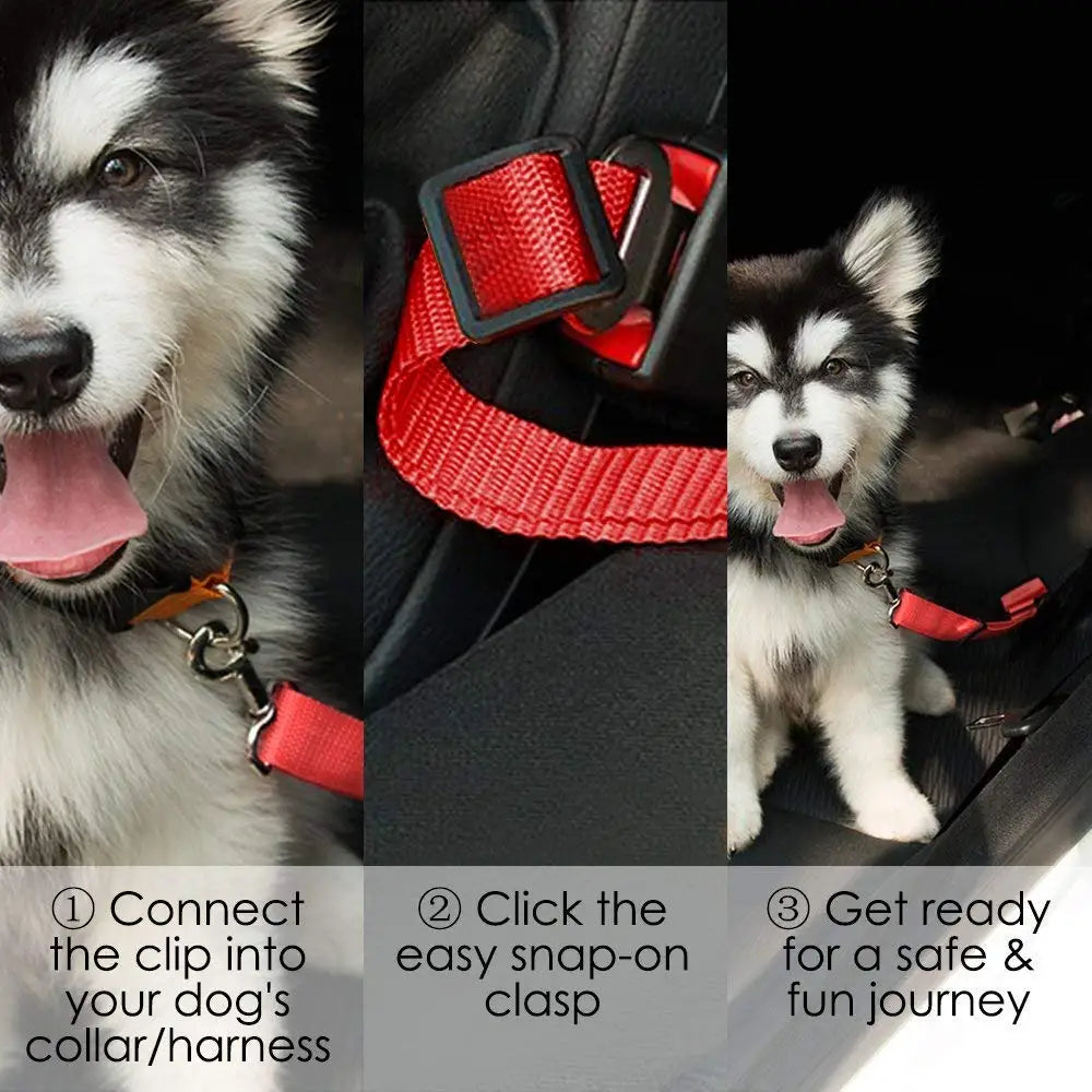 Adjustable Pet Car Seat Belt & Safety Tether